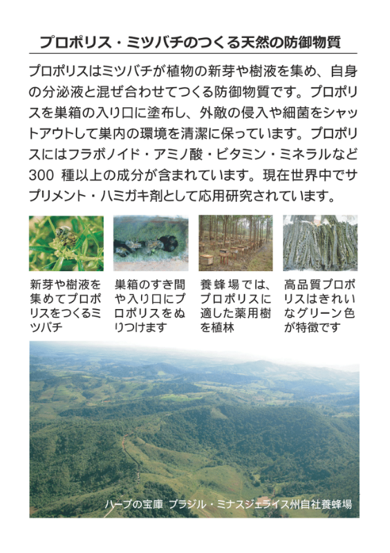 デンタルポリスDX 薬用ハミガキ【80g】(医薬部外品)