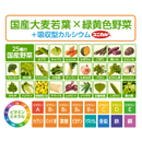 ●クオールオリジナル●緑黄色野菜のすごーい青汁★QOL管理栄養士推奨★【60袋入り】(栄養機能食品)*