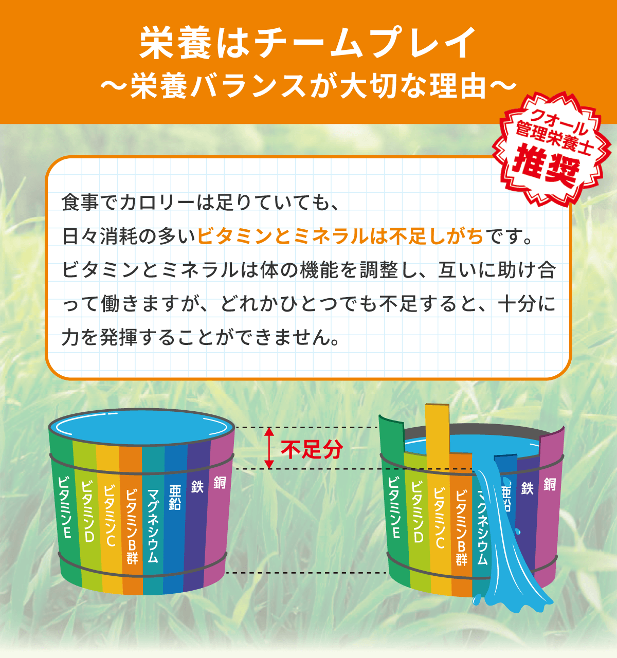 ●クオール薬局オリジナル●エブリエル 緑黄色野菜のすごーい青汁★QOL管理栄養士推奨★【60袋入り】(栄養機能食品)*