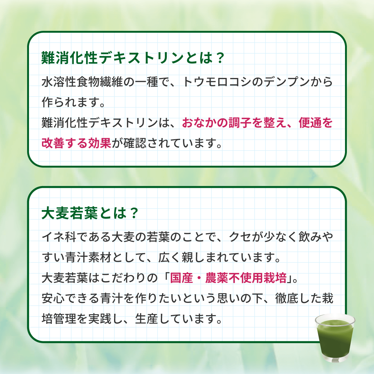 【初回限定】【20袋】 トライアル応援プラン★食物せんいのうまーい青汁(クオール薬局オリジナル)(特定保健用食品)