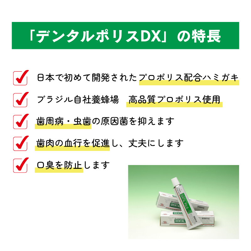 デンタルポリスDX 薬用ハミガキ【80g】（医薬部外品）