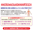 デンタルポリスDX 薬用ハミガキ【80g】（医薬部外品）