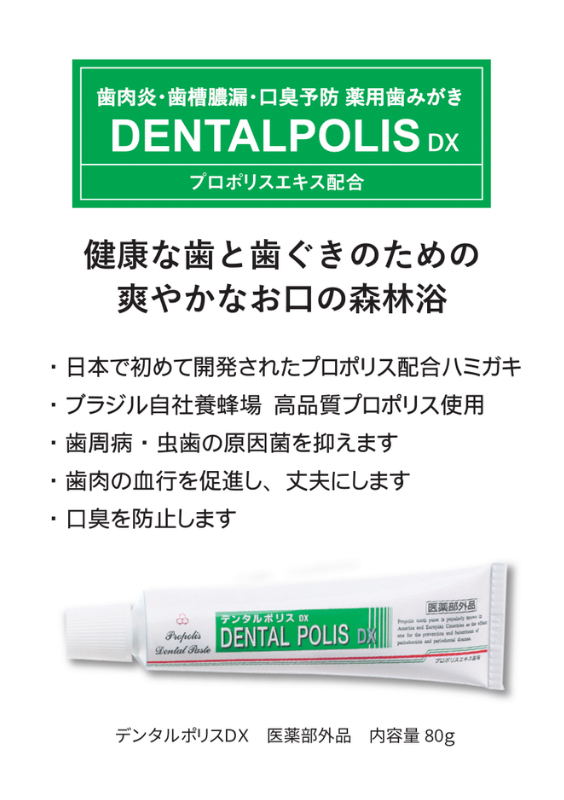 デンタルポリスDX 薬用ハミガキ【80g】（医薬部外品）