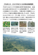 デンタルポリスDX 薬用ハミガキ【80g】（医薬部外品）