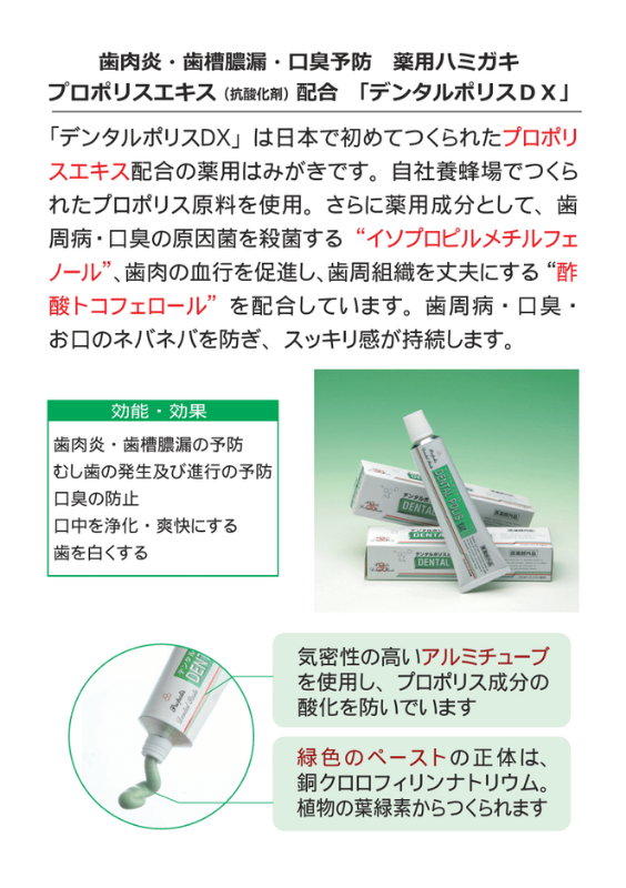 デンタルポリスDX 薬用ハミガキ【80g】（医薬部外品）