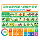 【初回限定】【3箱】 2か月継続応援プラン★緑黄色野菜のすごーい青汁（クオールオリジナル）（栄養機能食品）※管理栄養士相談1回付