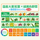 ●クオール薬局オリジナル●エブリエル 緑黄色野菜のすごーい青汁★QOL管理栄養士推奨★【60袋入り】（栄養機能食品）*