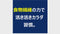 【初回限定】【10包】 トライアル応援プラン★からだ喜ぶ毎日の習慣（クオールオリジナル）